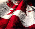original oil painting Canadian Flag  