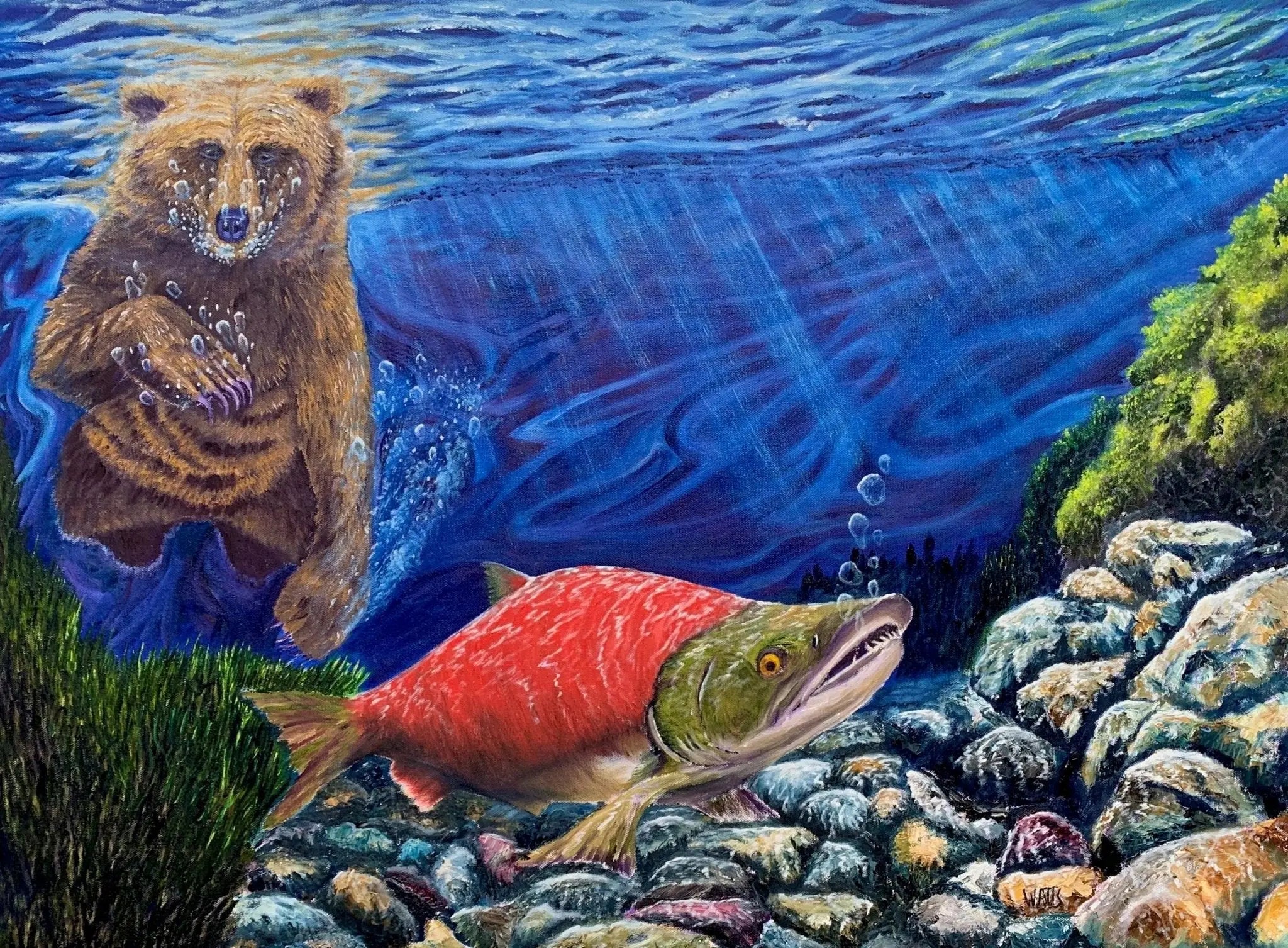 Salmon artwork: "OH SH*T" Sockeye Salmon meets Grizzly Bear - Artist Graham Watts | Canadian Oil Painter in Vancouver, BC